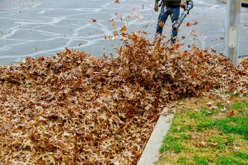 Leaf Cleanup Service