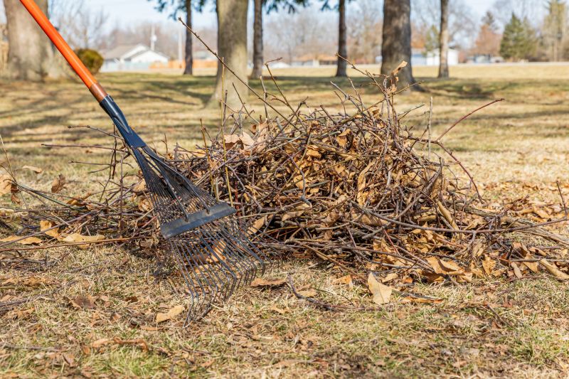 Lawn Debris Cleanup in Ventura County, CA