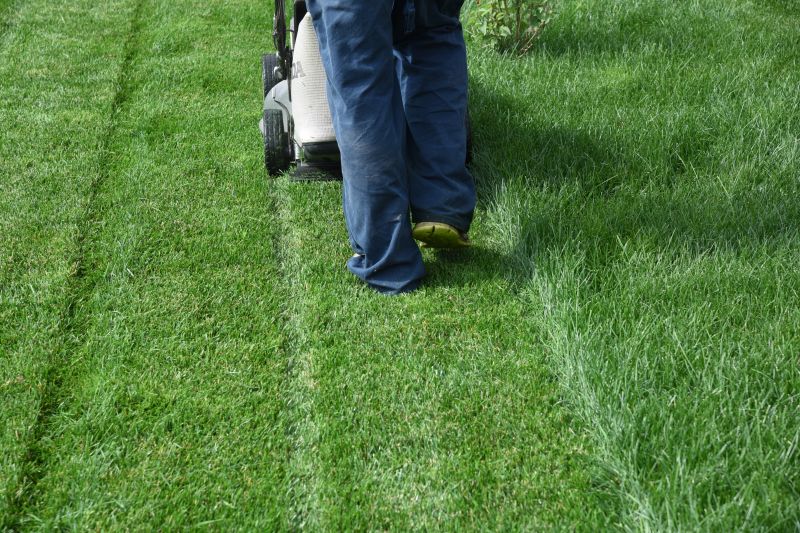 Independent Lawn Care Providers